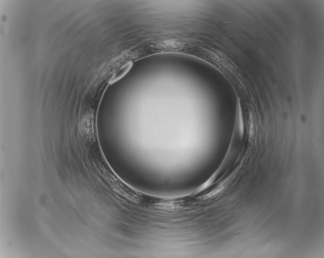 X0000057090425200509091318