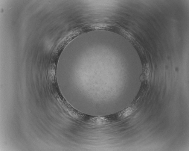 X0000057090427200509091318