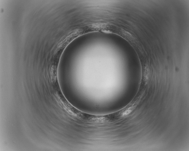 X0000057090428200509091318