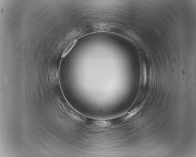 X0000057090429200509091318