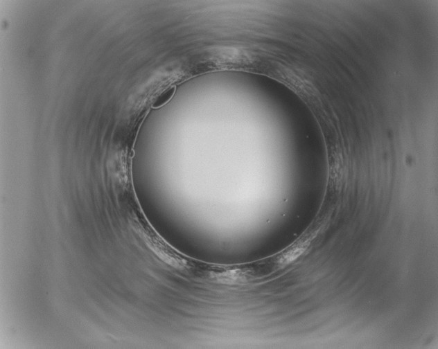 X0000057090430200509091318