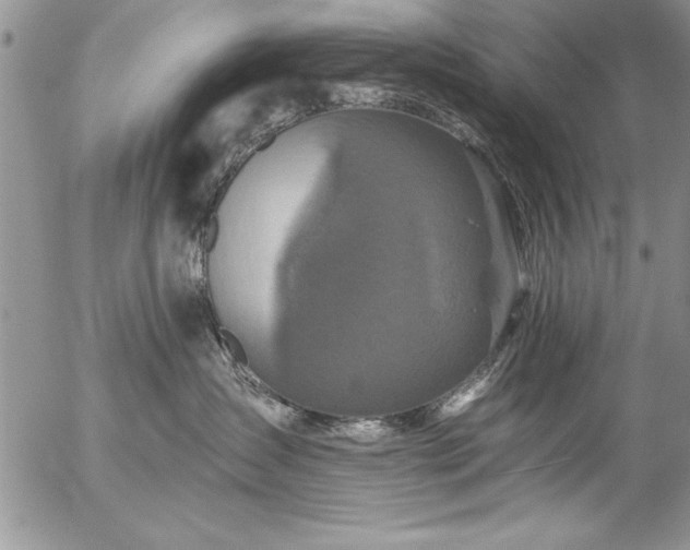 X0000057090431200509091318