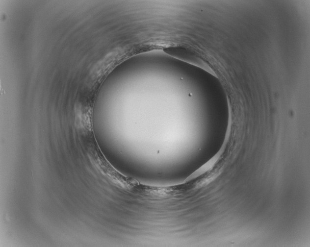 X0000057090432200509091318