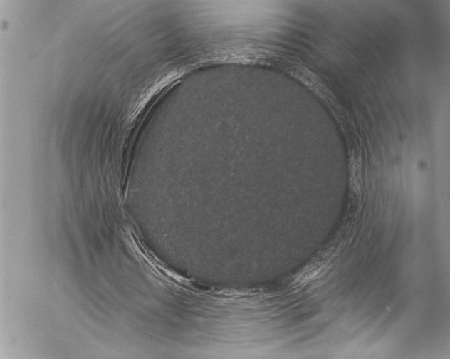 X0000057090434200509091317