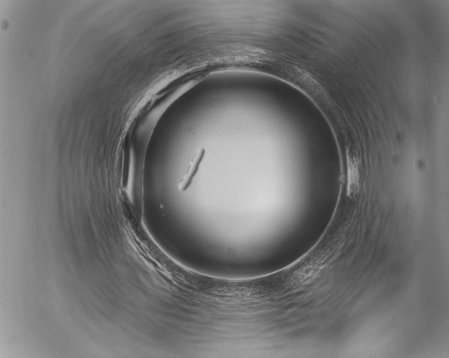 X0000057090435200509091317