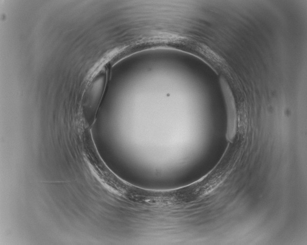 X0000057090436200509091317