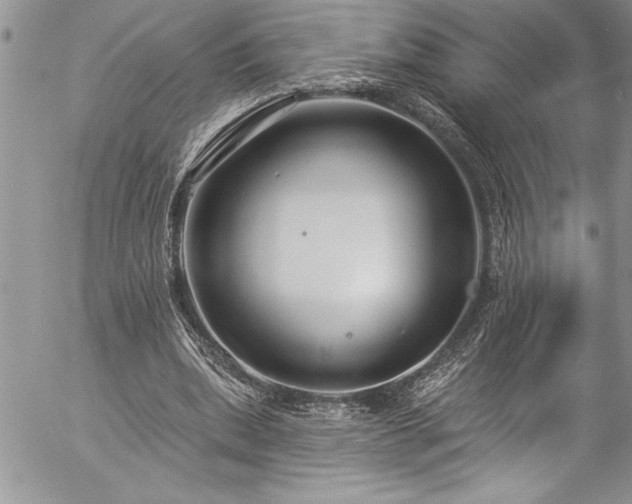 X0000057090439200509091317