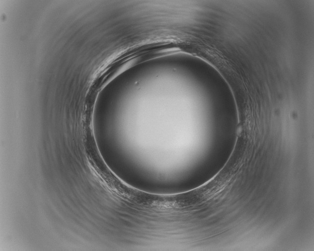 X0000057090440200509091317