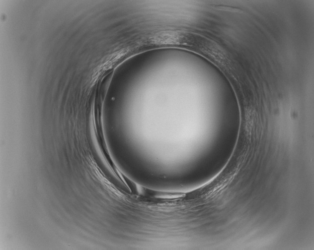 X0000057090441200509091317