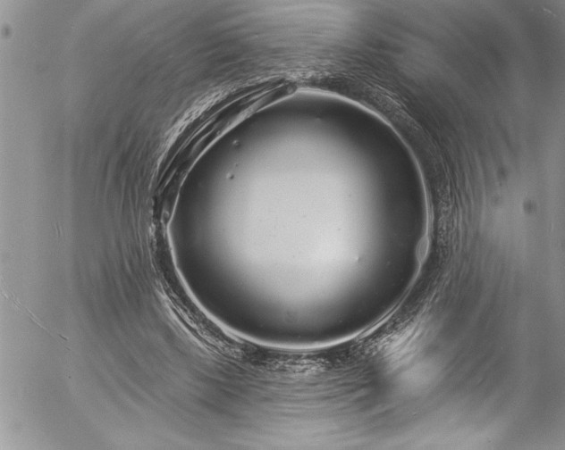 X0000057090443200509091317