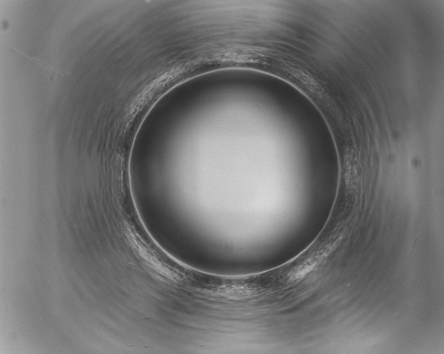 X0000057090445200509091318