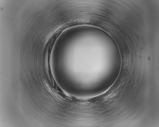 X0000057090446200509091318