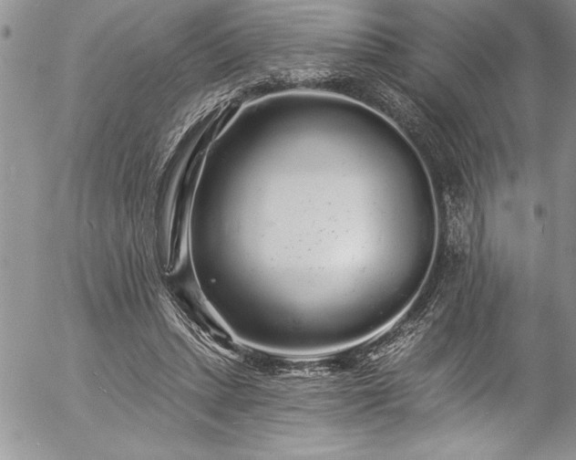 X0000057090447200509091318