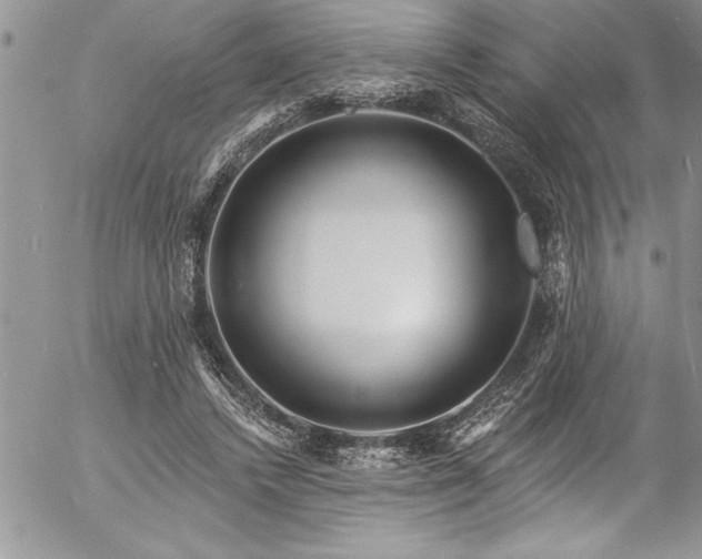 X0000057090448200509091318