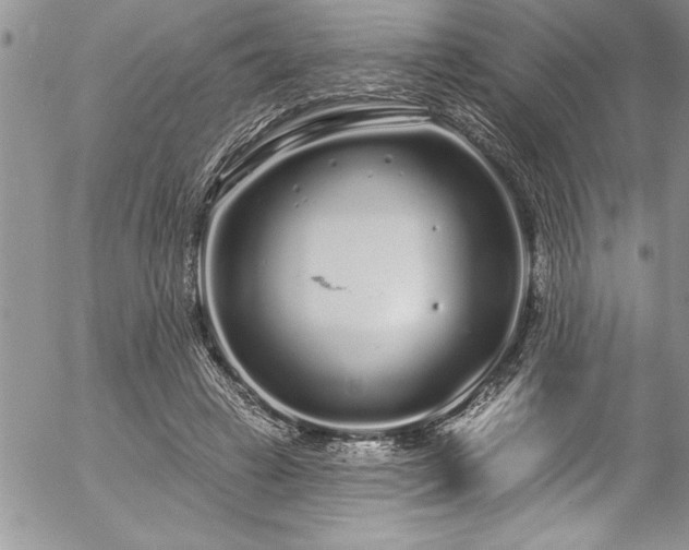 X0000057090449200509091318