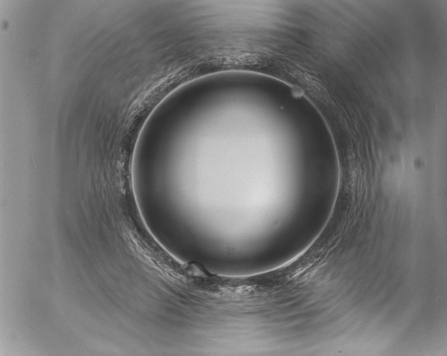 X0000057090450200509091318