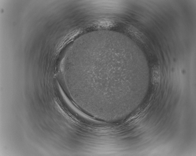 X0000057090451200509091318