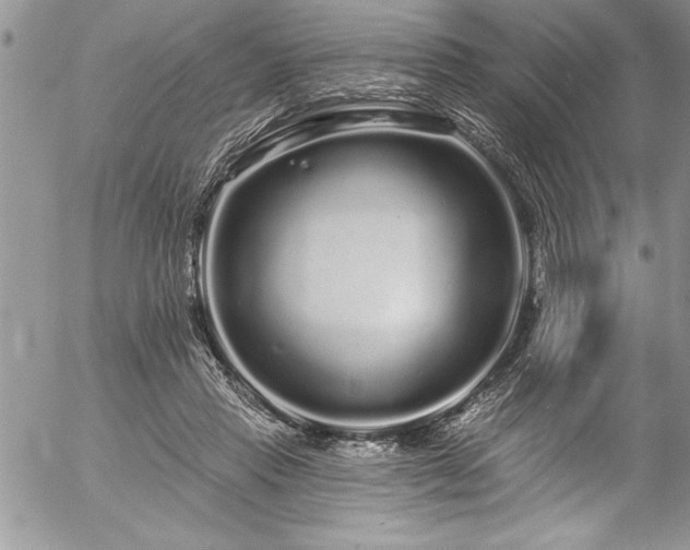 X0000057090453200509091318