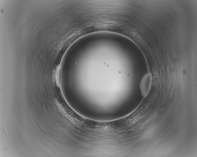 X0000057090454200509091318