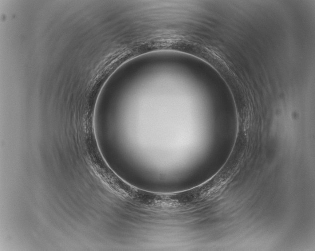 X0000057090455200509091318