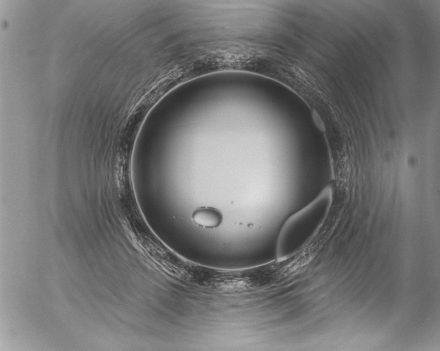 X0000057090456200509091318