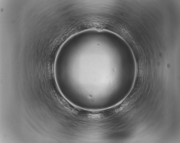 X0000057090457200509091318