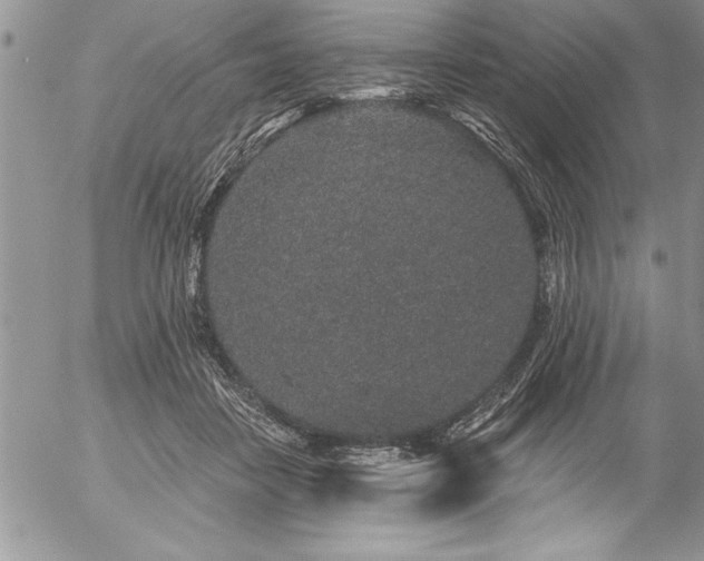 X0000057090458200509091318