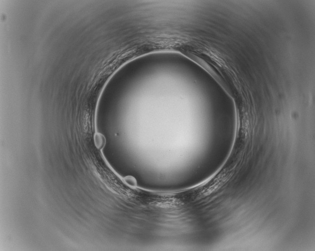 X0000057090459200509091318