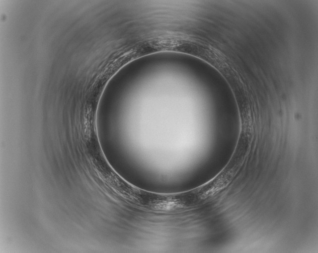 X0000057090460200509091318