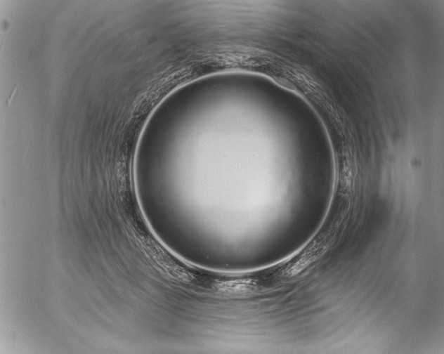 X0000057090461200509091318