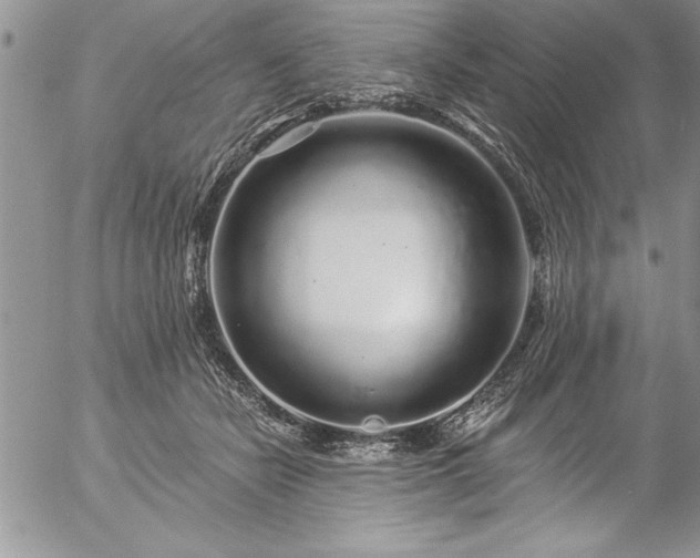 X0000057090462200509091318