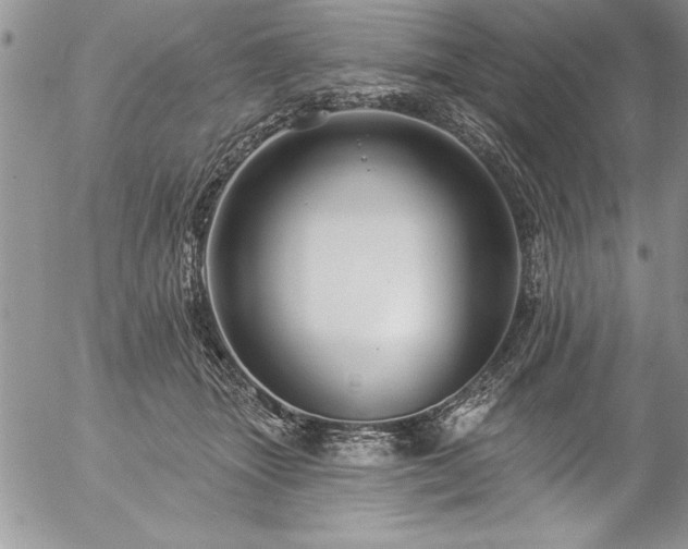 X0000057090463200509091318