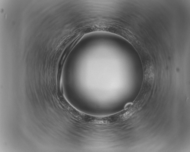 X0000057090464200509091318