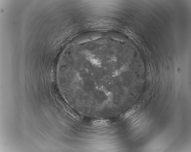 X0000057090465200509091318