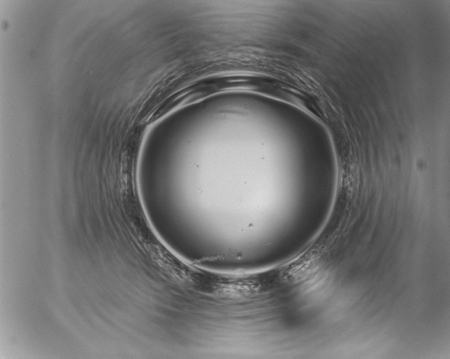 X0000057090466200509091318