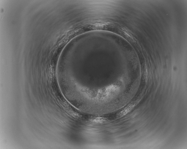 X0000057090467200509091318