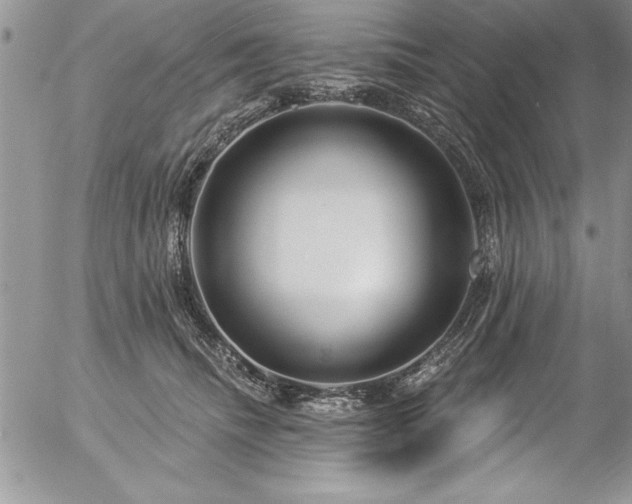 X0000057090468200509091318