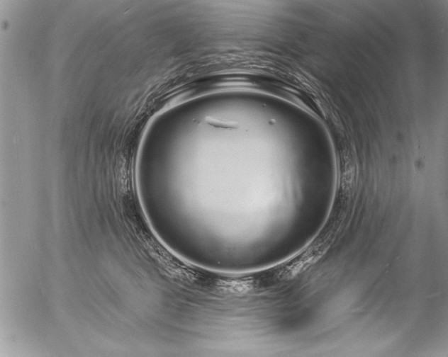 X0000057090469200509091318