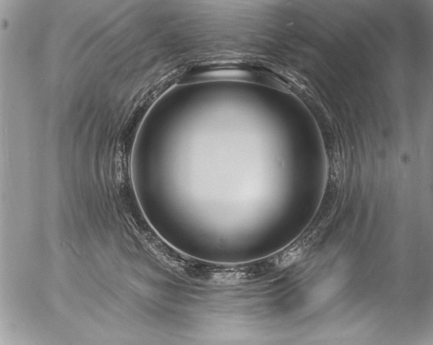 X0000057090470200509091318