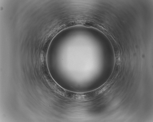 X0000057090472200509091318