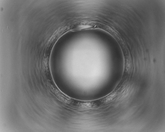 X0000057090473200509091318