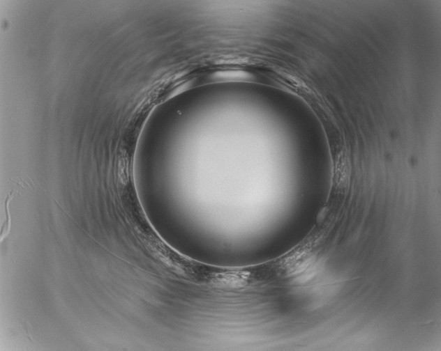 X0000057090474200509091318