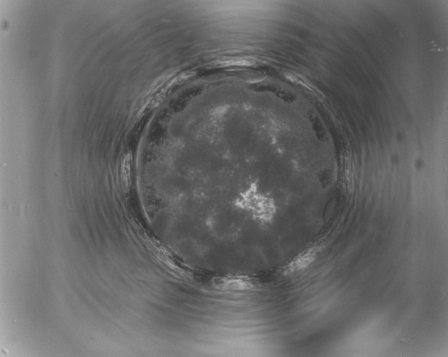 X0000057090475200509091318