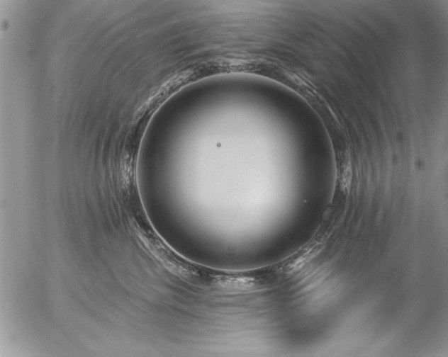 X0000057090476200509091318