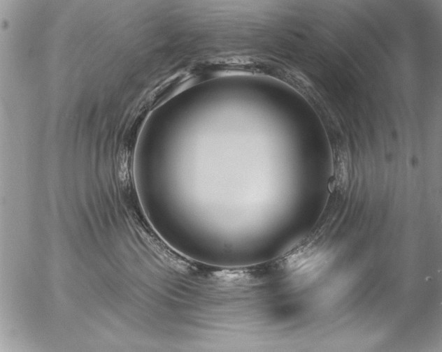 X0000057090477200509091318