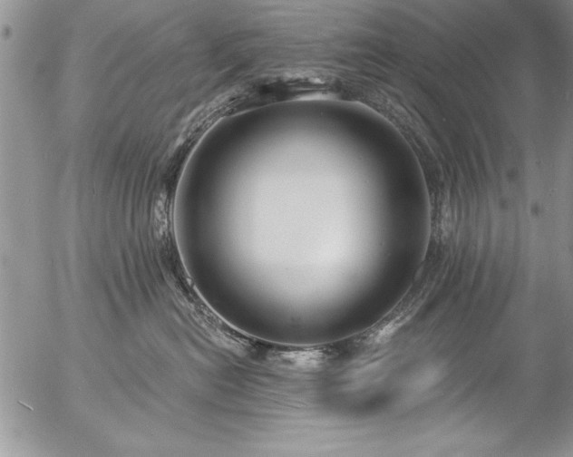 X0000057090478200509091318