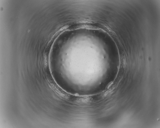 X0000057090479200509091318