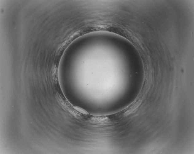 X0000057090480200509091318