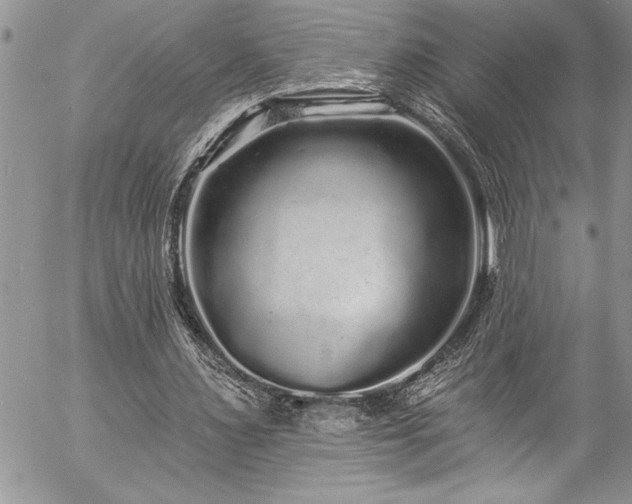 X0000057090483200509091317