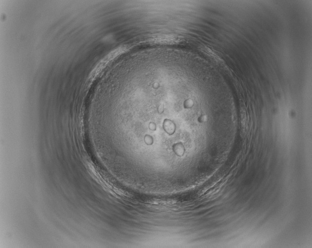 X0000057090487200509091317